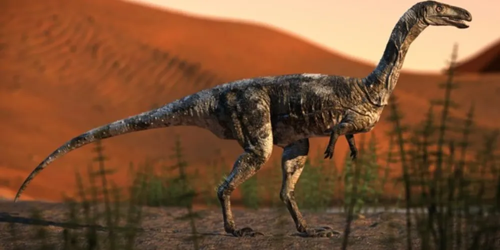 Vespersaurus paranaensis, de pequeno porte, era predador que vivia há 85 milhões de anos