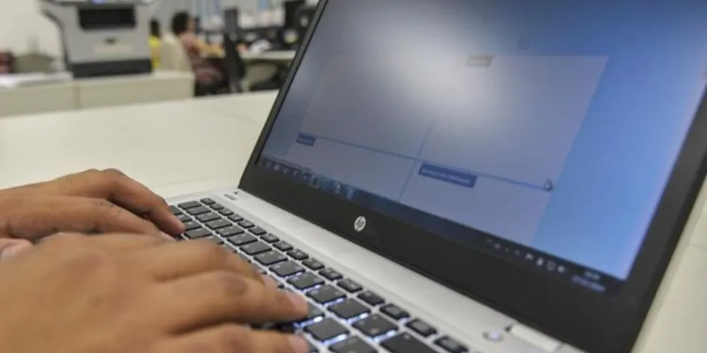 Segmento de Portais, provedores de conteúdo e outros serviços de informação da internet apresentou a maior taxa de crescimento