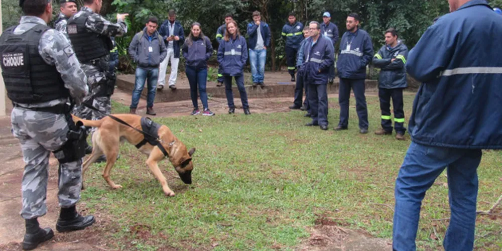 Os profissionais da Companhia recebem treinamento periodicamente para saber como lidar com estes animais