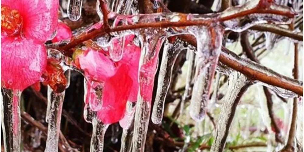 É um frio que literalmente congela a água, inclusive dentro dos encanamentos.