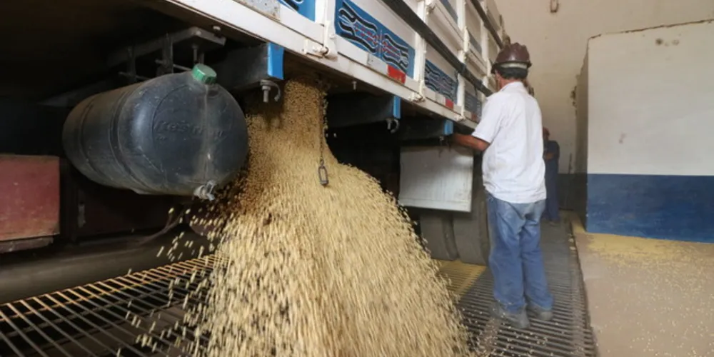 A soja é o principal produto exportado hoje. Mas a abertura de mercado pode fazer com que outros setores se destaquem