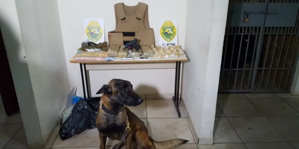 Operação teve apoio de Venom, cão de faro da Polícia Militar