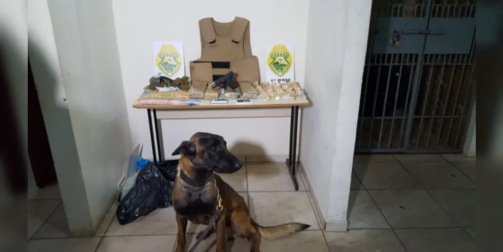 Operação teve apoio de Venom, cão de faro da Polícia Militar