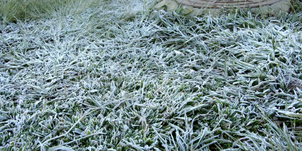 Temperaturas alcançaram -3,4°C em Ponta Grossa