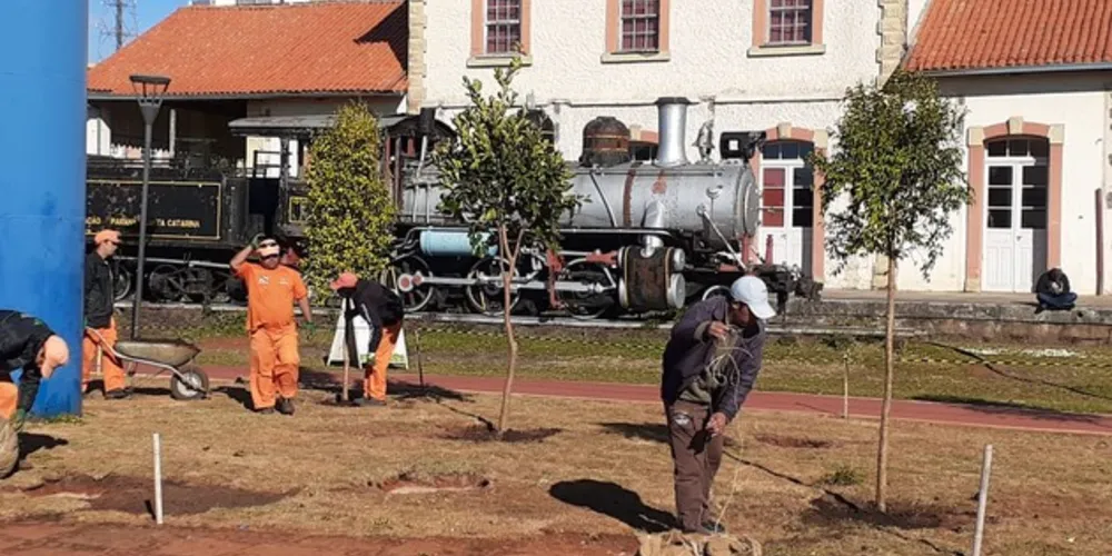 Serviço de plantio e reposição de grama deve ser concluído esta semana