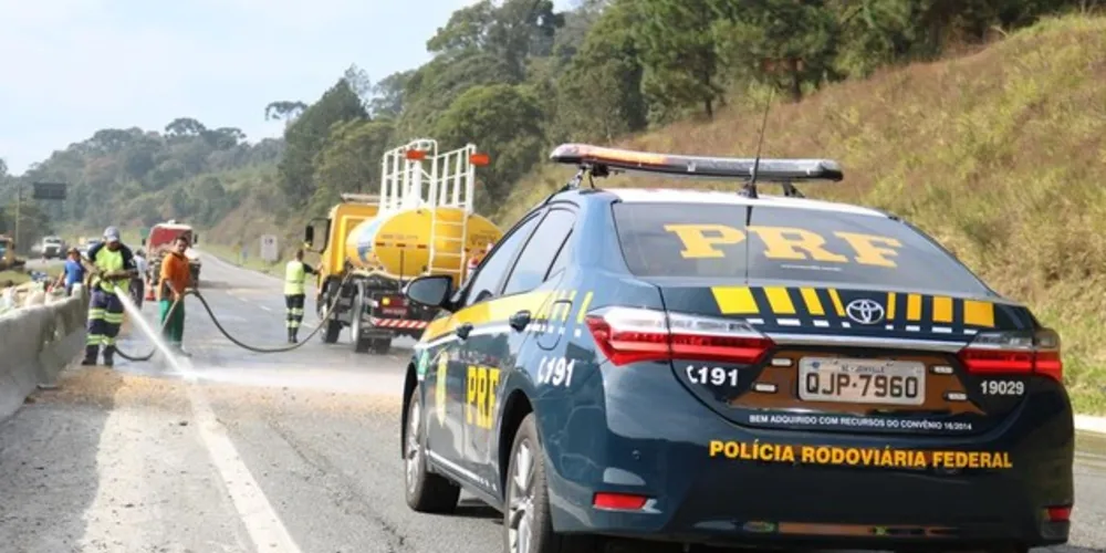 A PRF aponta percentual de números de mortes em atropelamentos e colisões frontais em rodovias no Paraná