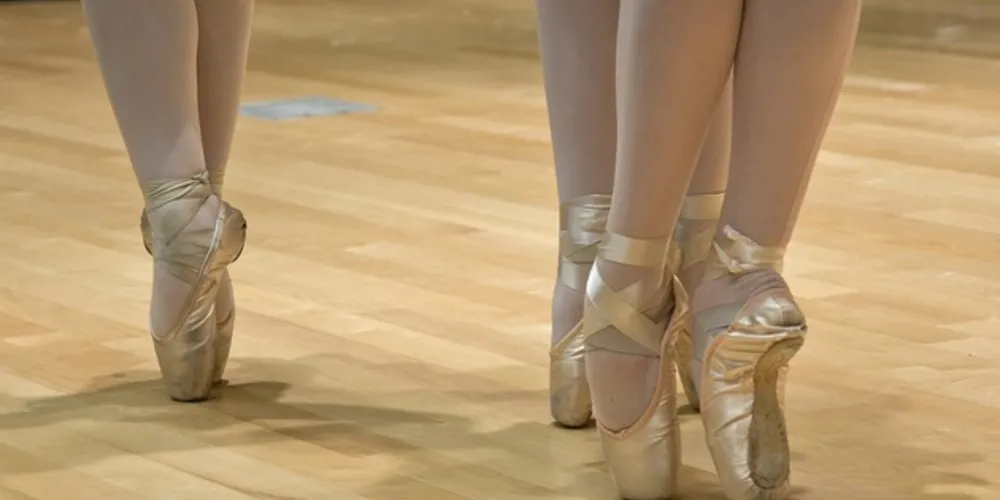 Objetivo é mostrar ao público como ocorre uma aula de dança dessa modalidade
