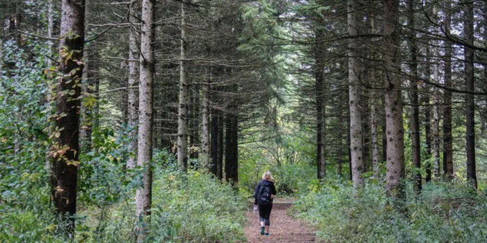 Percurso terá aproximadamente 15km