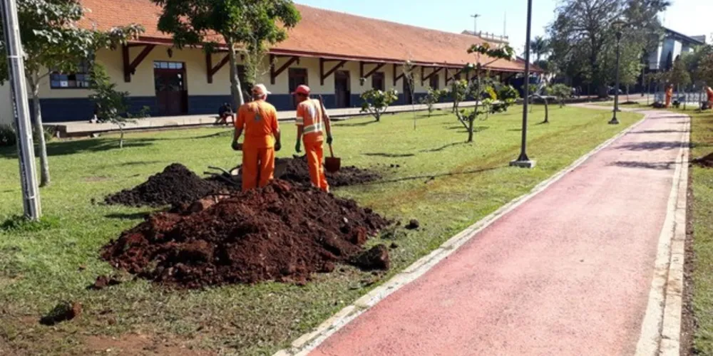 Imagem ilustrativa da imagem Prefeitura amplia plantio de árvores no Parque Ambiental