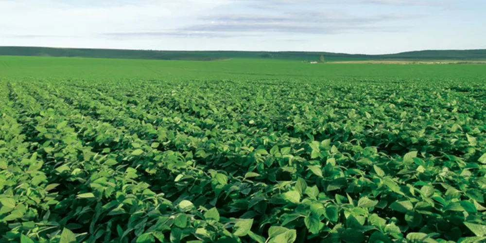 Melhor aproveitamento dos recursos naturais e maior produtividade passam por investimentos tecnológicos presentes na agricultura 4.0

