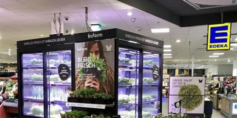 Imagem ilustrativa da imagem Você compraria comida plantada em shopping?