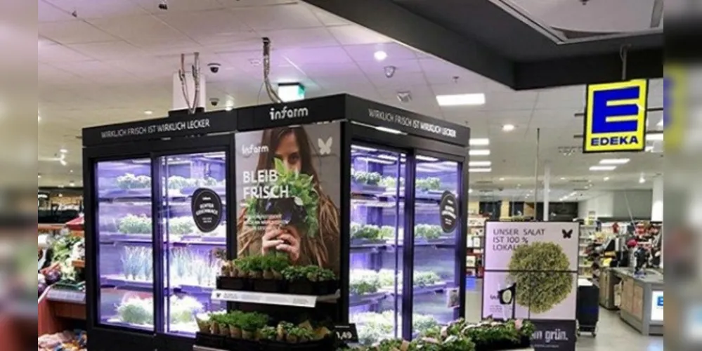 Imagem ilustrativa da imagem Você compraria comida plantada em shopping?