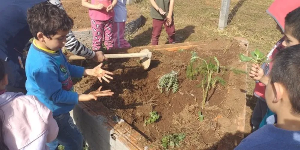 Imagem ilustrativa da imagem Alunos de Tibagi estudam e realizam plantio de ervas