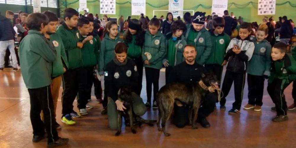 Imagem ilustrativa da imagem Paraná Cidadão engaja alunos em Jaguariaíva