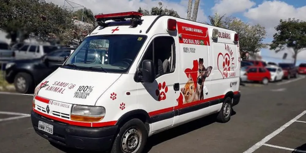 Imagem ilustrativa da imagem George apresenta
programa ‘Samu Animal’ no sábado