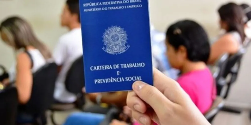 Imagem ilustrativa da imagem Prefeitura sugere
incentivos ao primeiro emprego em PG