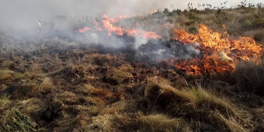 Em 2018 foram registrados pouco mais de 100 incêndios em Ponta Grossa, já em 2019 já somam 156 incêndios