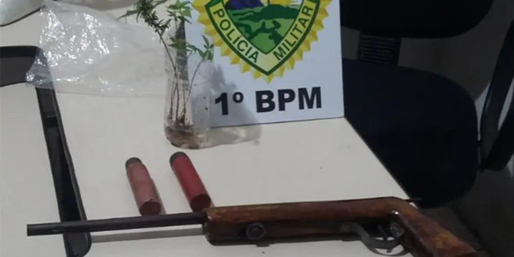Rapaz de 24 anos foi flagrado com arma de fogo e pés de maconha durante a operação