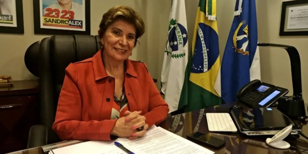 Imagem ilustrativa da imagem Elizabeth Schmidt, prefeita em exercício conversa com a aRede