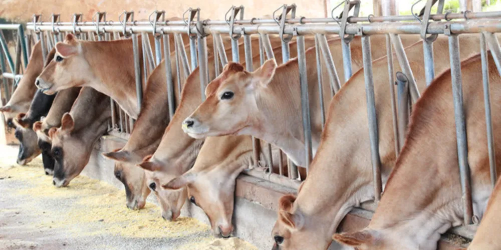  41ª EFAPI e 32ª Feira Paraná, eventos que acontecem entre os dias 18 e 27 de outubro em Ponta Grossa