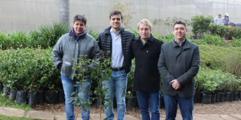 Imagem ilustrativa da imagem ‘Arboriza PG’ recebe 100 mudas da Adquira Imóveis