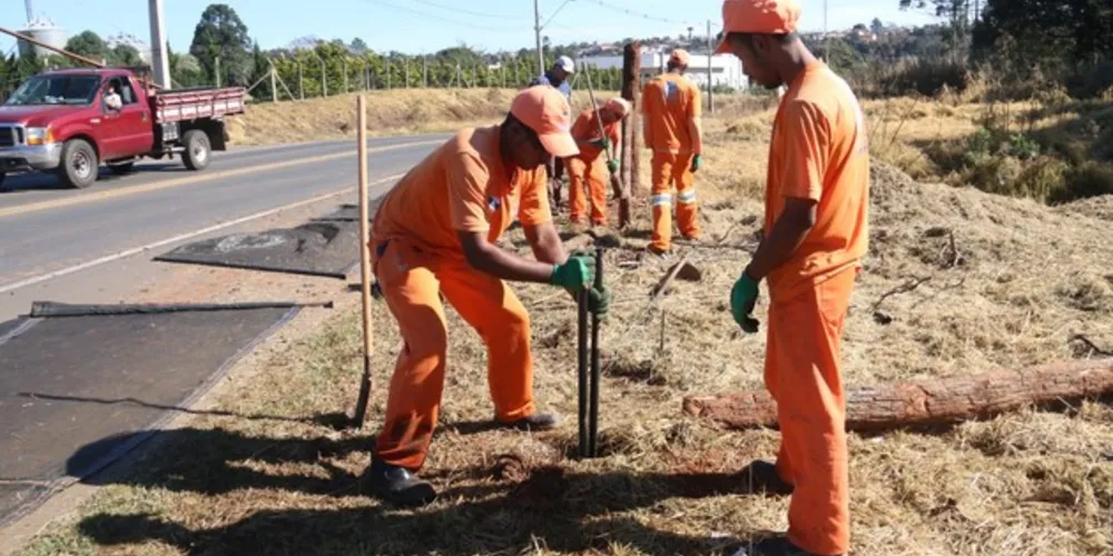 Equipe de Limpeza Urbana da Secretaria de Meio Ambiente precisou de duas semanas para realizar limpeza de áreas com descarte irregular de resíduos