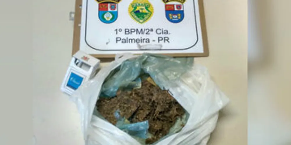 Maconha foi encontrada dentro da geladeira em uma residência de um dos suspeitos