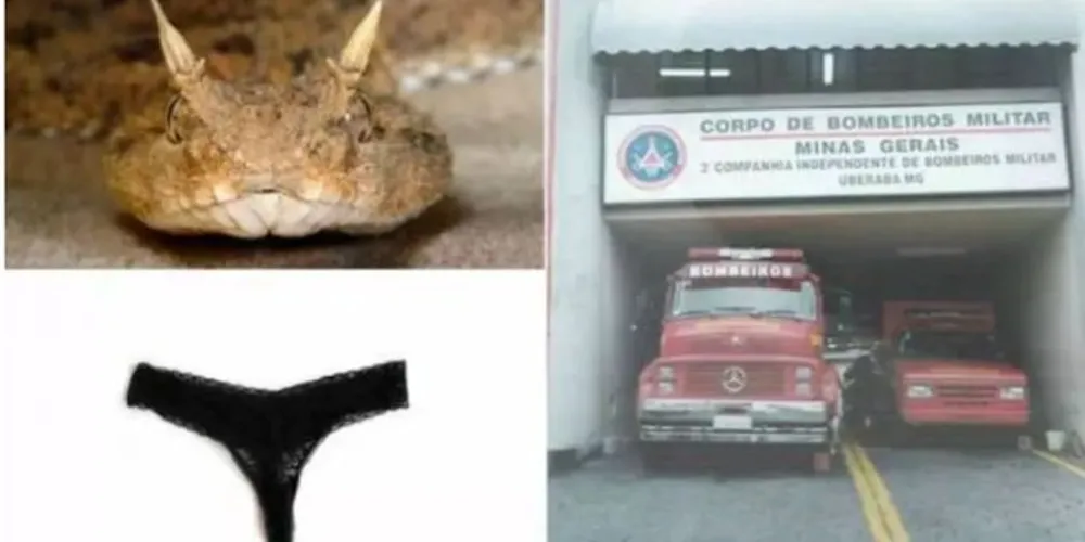 Assustados, eles acionaram imediatamente o Corpo de Bombeiros de Uberaba