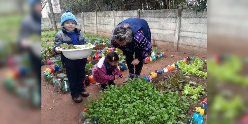 Os alunos participaram de todas as etapas, desde colorir as garrafas, no plantio das mudinhas de alface, repolho, beterraba, rúcula e brócolis, até a colheita