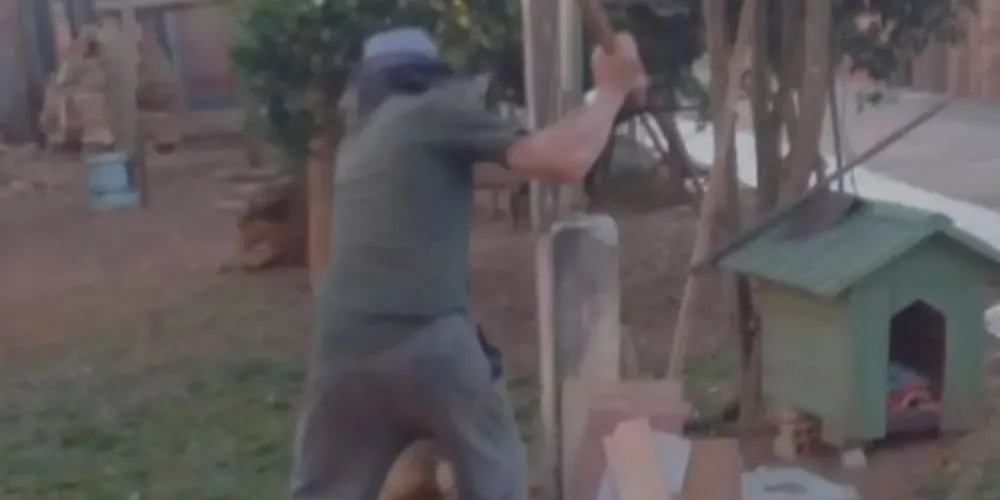 Suspeito foi encaminhado pela Guarda Municipal à delegacia após ter sido flagrado desferindo golpes de foice contra o animal