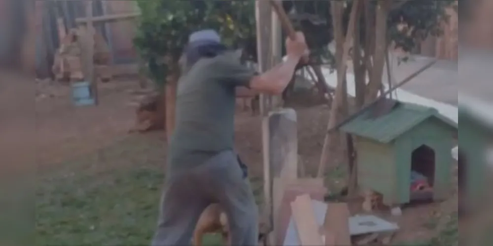 Suspeito foi encaminhado pela Guarda Municipal à delegacia após ter sido flagrado desferindo golpes de foice contra o animal