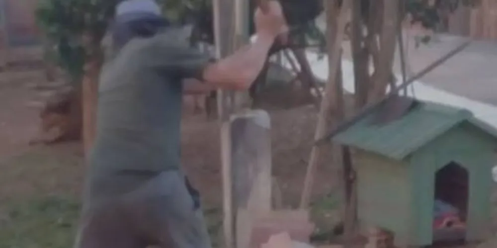 Imagem ilustrativa da imagem PG terá ato por justiça após morte violenta de cachorro