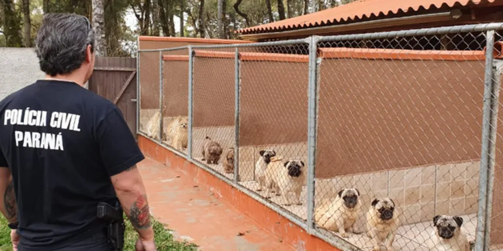 Sócios e funcionários também são suspeitos de estelionato e falsificação de documentos privados 