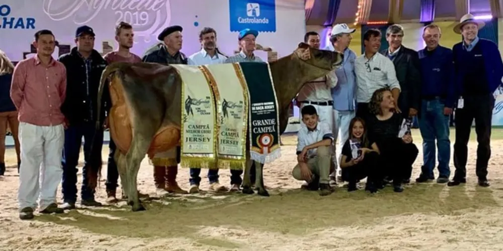 Nesta sexta-feira, houve o julgamento da raça Jersey. Gema Isca Doutrina Valentino foi grande campeã adulta