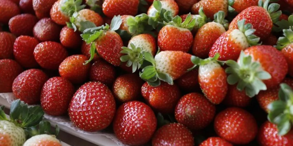 Atualmente o Paraná é o sexto estado do Brasil que mais produz frutas