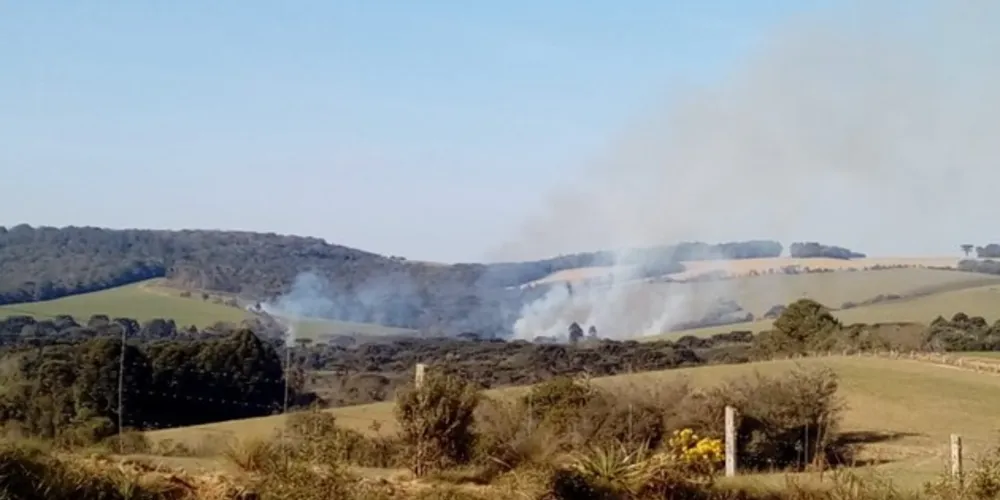 Fogo destruiu área de mais de 70 mil metros quadrados na cidade de Palmeira