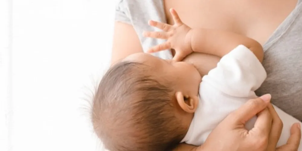 Equipe de Enfermagem do Consultório Girassol reúne consultores em amamentação e dará dicas práticas às mães no evento
