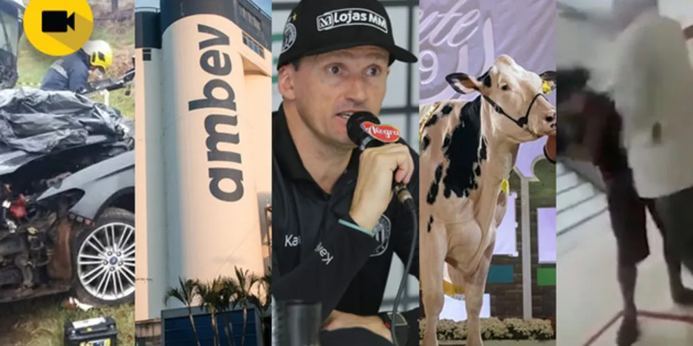 Imagem ilustrativa da imagem Confira os destaques desta segunda-feira no Portal aRede