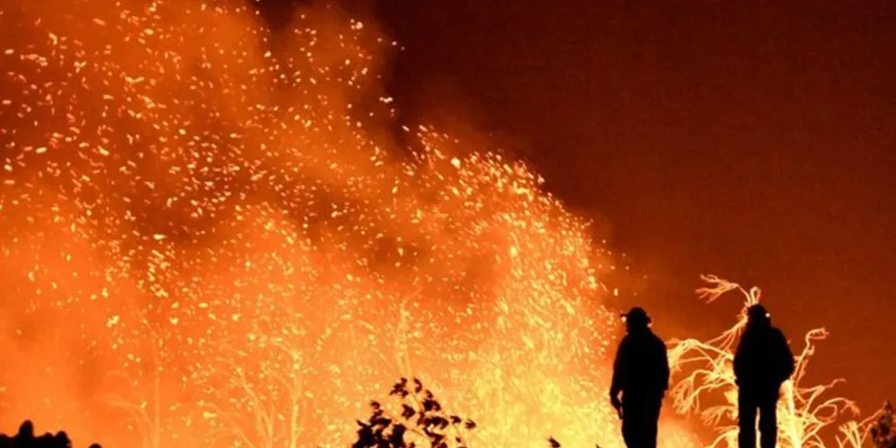 Instituto pretende obter alertas de desmatamento diários das áreas mais críticas na Amazônia