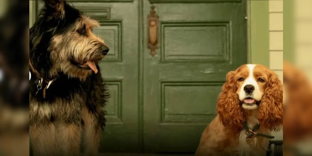 O longa, que terá cachorros reais dando vida para cada personagem