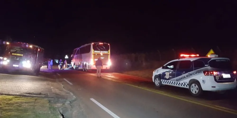 Animal foi atingido pelo coletivo e morreu na hora ao lado do filhote