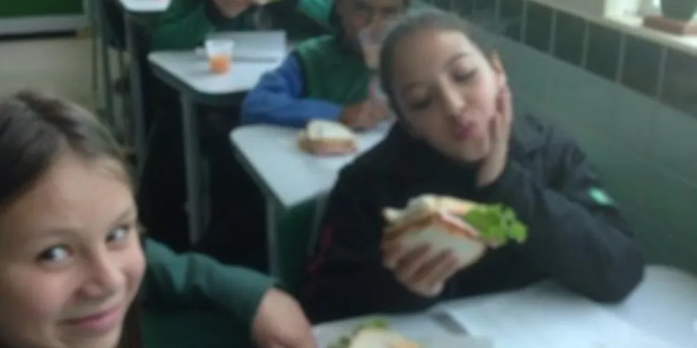 Imagem ilustrativa da imagem Alimentação saudável é tema de gráfico em 5ºB