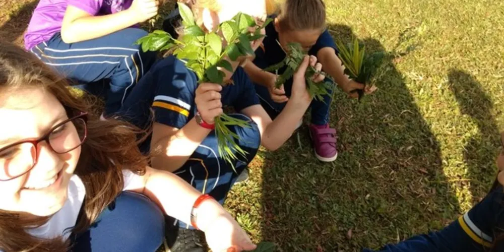 Imagem ilustrativa da imagem Estudo sobre estações engaja quartos anos