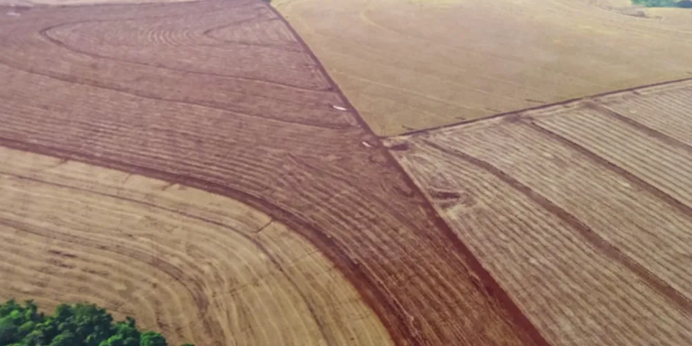 AEACG promove curso sobre conservação dos solos no fim do mês de agosto