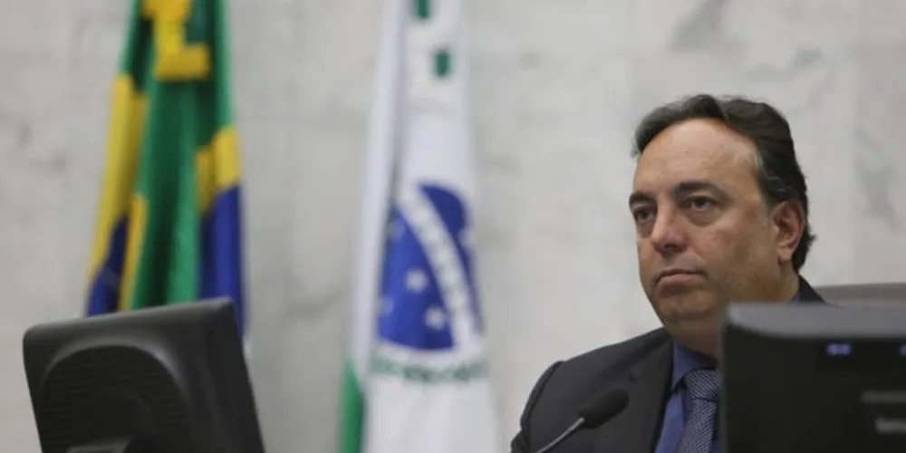 Projeto de Francischini obriga que empresas resgatem e atendam animais acidentados nas rodovias.