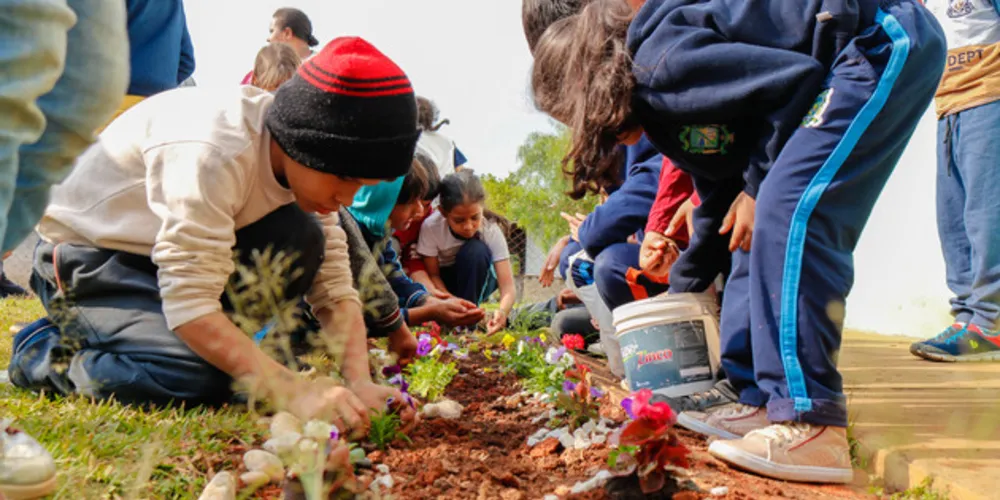 Ação uniu toda a comunidade escolar e garantiu um jardim bonito e colaborativo