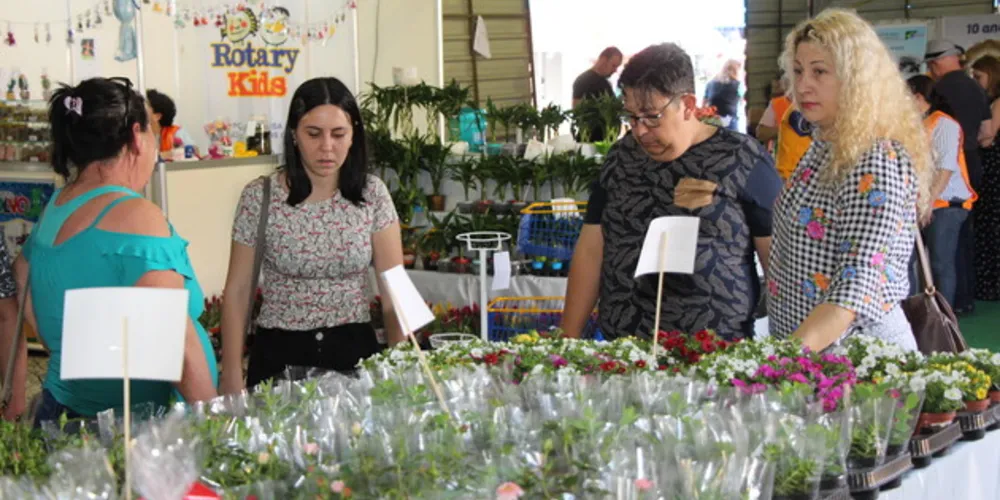 A 9ª edição da feira conta com mais de 300 espécies de plantas