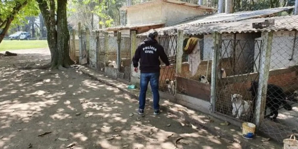 Operação da Polícia Civil no dia 28 fechou mais um canil clandestino em Curitiba