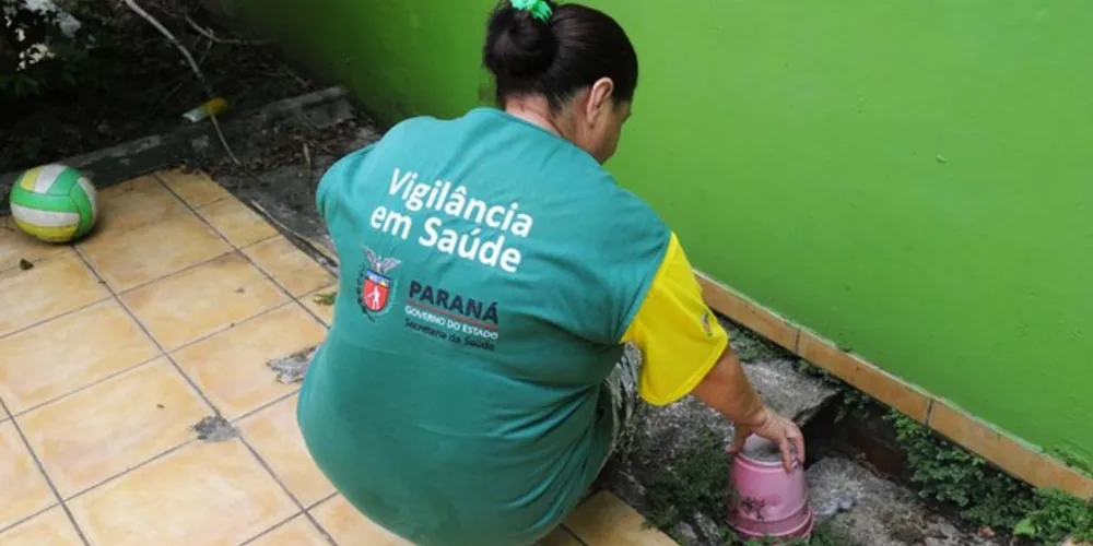 Além de esvaziar espaços e recipientes com acúmulo de água, é importante escová-los com água e sabão para eliminar os ovos que ficam grudados