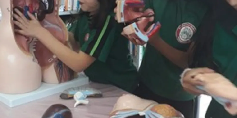 Imagem ilustrativa da imagem Aula em Educação Física traz aspectos do organismo